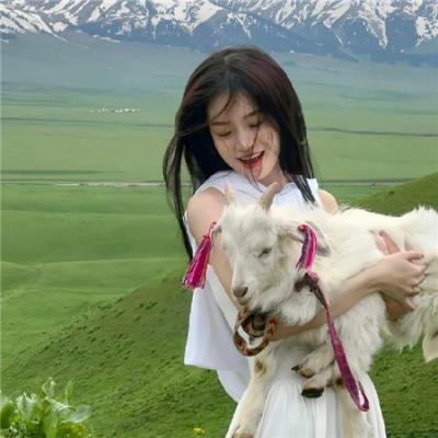 完美世界